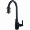 Black Kitchen Faucets