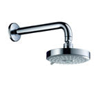 Hansgrohe 27495821 Raindance S Shower Head Only - Brushed Nickel