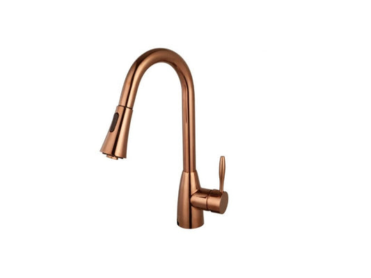 Suneli N88402 RG Brushed Nickel Kitchen Faucet