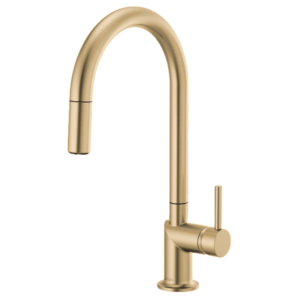 Pull-Down Faucet with Arc Spout - Less Handle DELHLK175GL